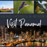 Discover the Thrills of 4 Must-Visit Casino Hotels in Panama